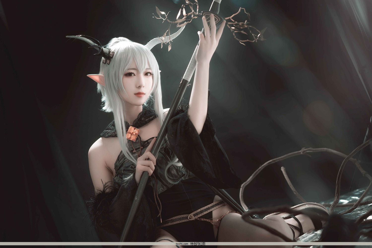 [΢coser@] NO.002 շ  [16P-162]